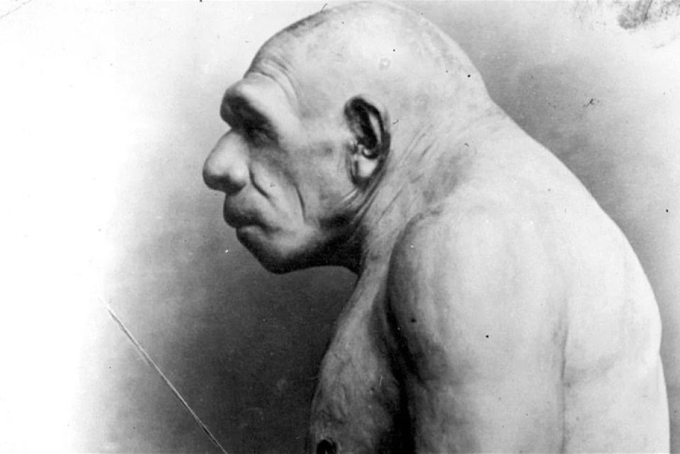 El Circo de Tradici&oacute;n Familiar en Chile ingresa a la Lista Representativa del Patrimonio Cultural Inmaterial de la Humanidad de la UNESCO