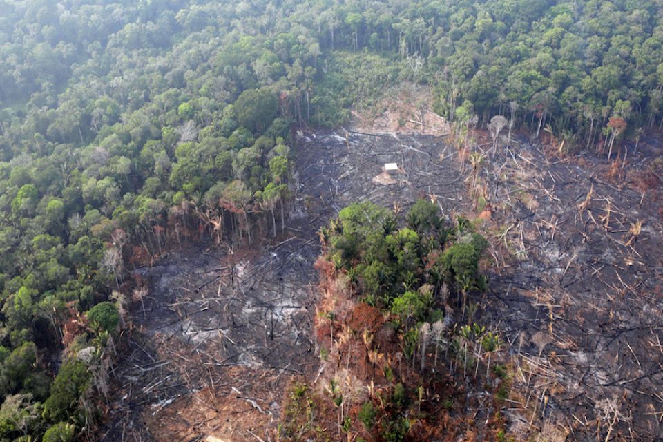 "El ecocidio, etnocidio y terricidio avanzan peor que el virus": Las conclusiones de la primera Asamblea Mundial de la Amazonia Publicado: