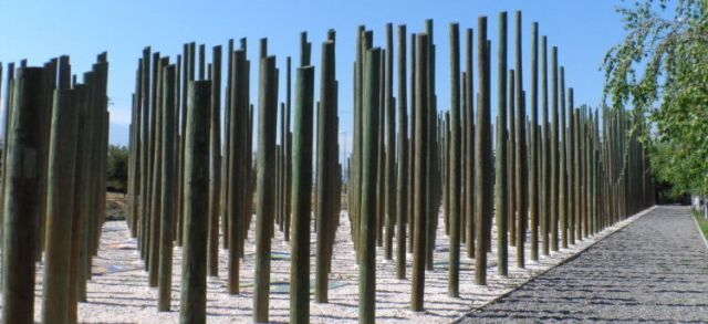 Polémica por cajas con osamentas de desaparecidos: SML ya había informado que mantiene restos de 300 presuntas víctimas sin identificar