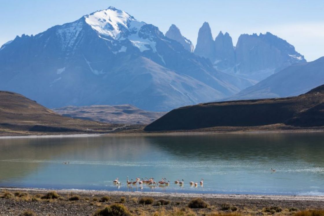 La minería de litio es una ‘amenaza mayor’ para el único refugio de flamencos en Chile