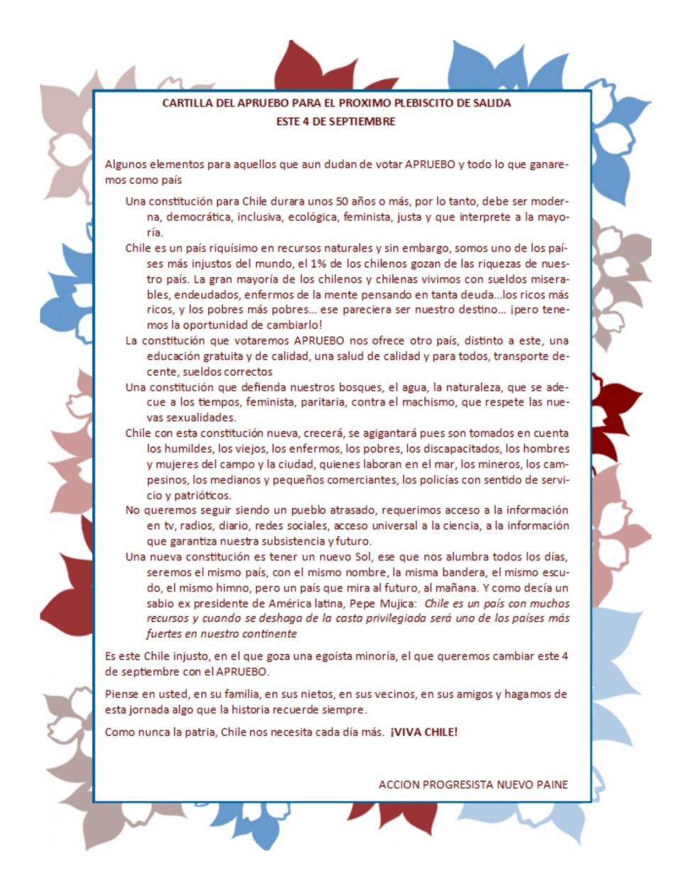 Acción Progresista por un nuevo Paine